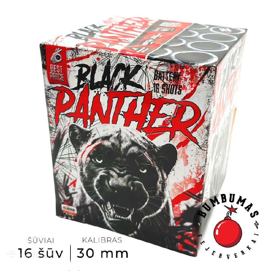 Fejerverkai, Panevėžyje! - nuotraukos Nr. 14