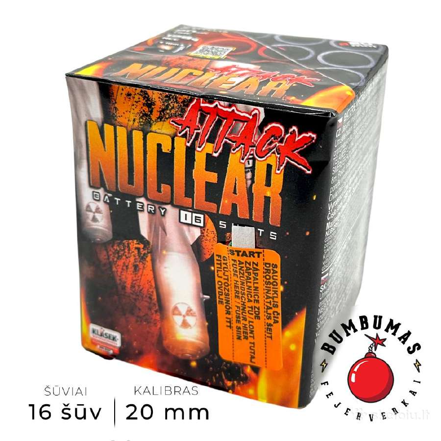 Fejerverkai, Panevėžyje! - nuotraukos Nr. 28