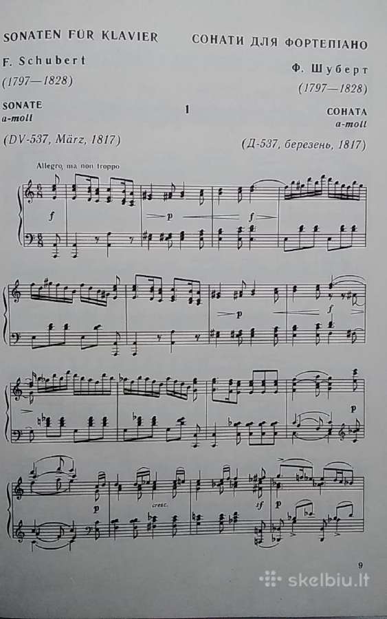 Fortepijoninės sonatos Schubert F. - nuotraukos Nr. 3