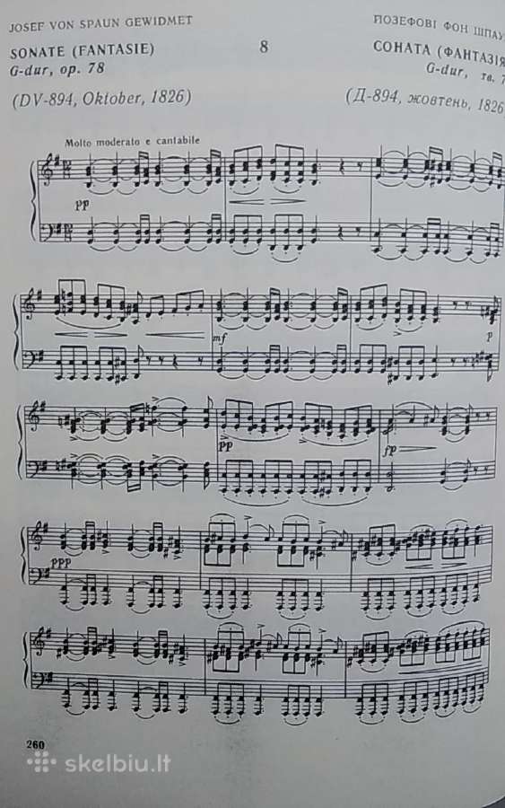 Fortepijoninės sonatos Schubert F. - nuotraukos Nr. 4
