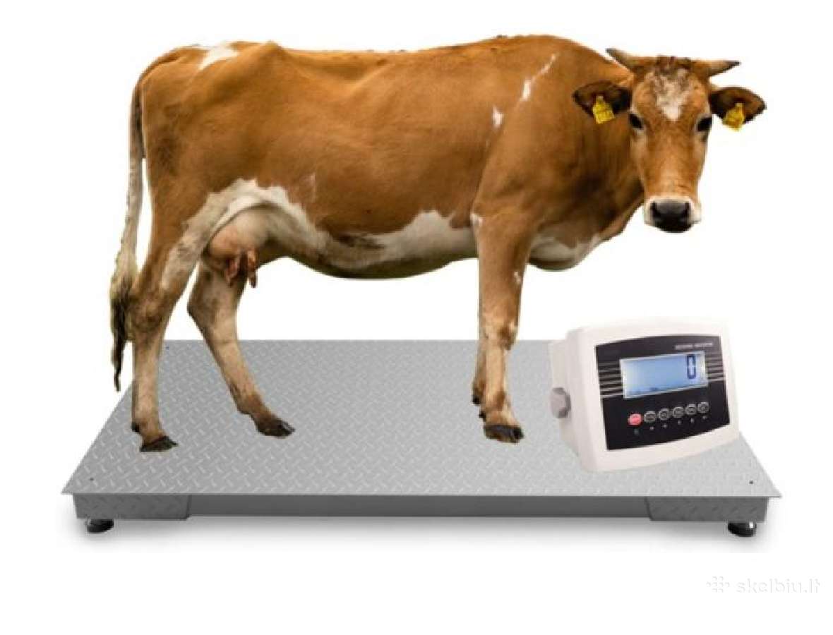 Gyvulinės platforminės svarstyklės 1x2m 3000kg