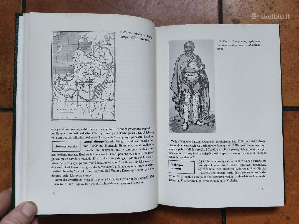 Lietuvių tautos ir valstybės istorija Iv 1977 m. - nuotraukos Nr. 8