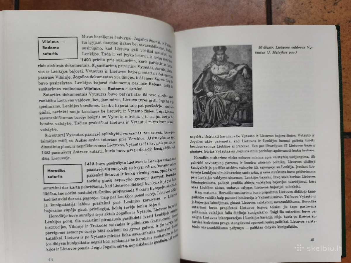 Lietuvių tautos ir valstybės istorija Iv 1977 m. - nuotraukos Nr. 9