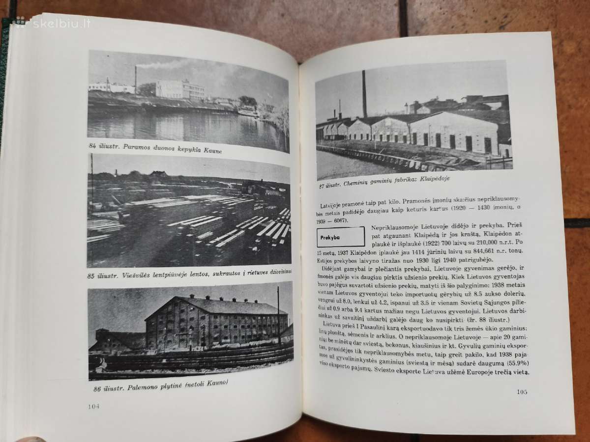 Lietuvių tautos ir valstybės istorija Iv 1977 m. - nuotraukos Nr. 16