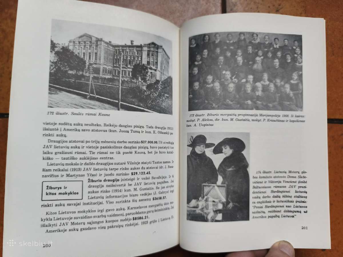 Lietuvių tautos ir valstybės istorija Iv 1977 m. - nuotraukos Nr. 25