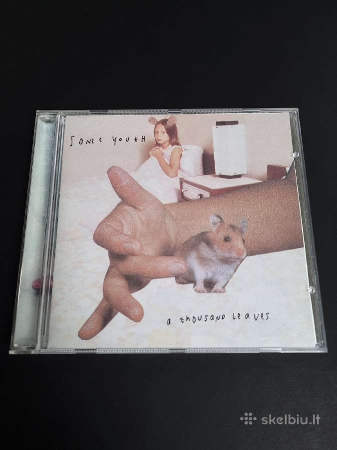 Sonic Youth – A Thousand Leaves