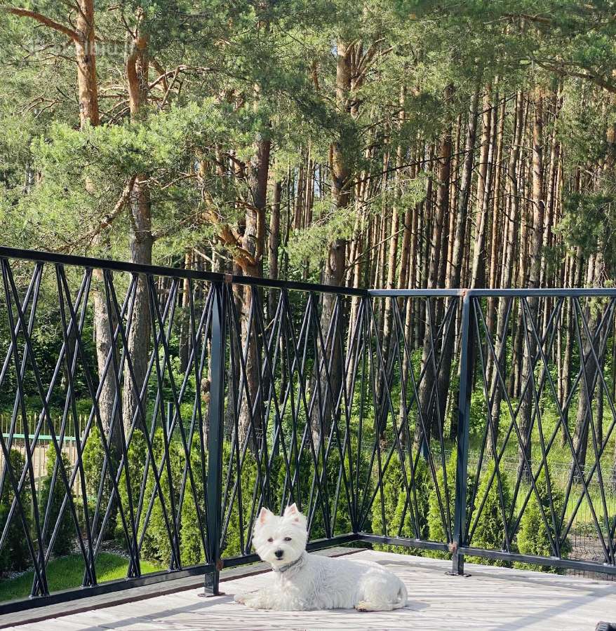 Parduodamas namas Radikiuose, šalia miško - nuotraukos Nr. 7