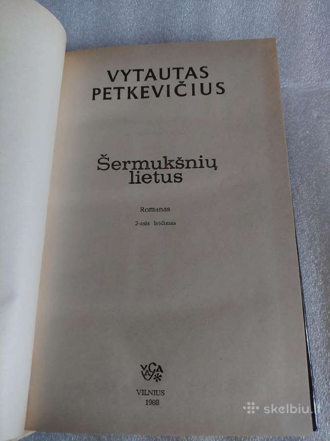 Šermukšnių lietus - nuotraukos Nr. 2
