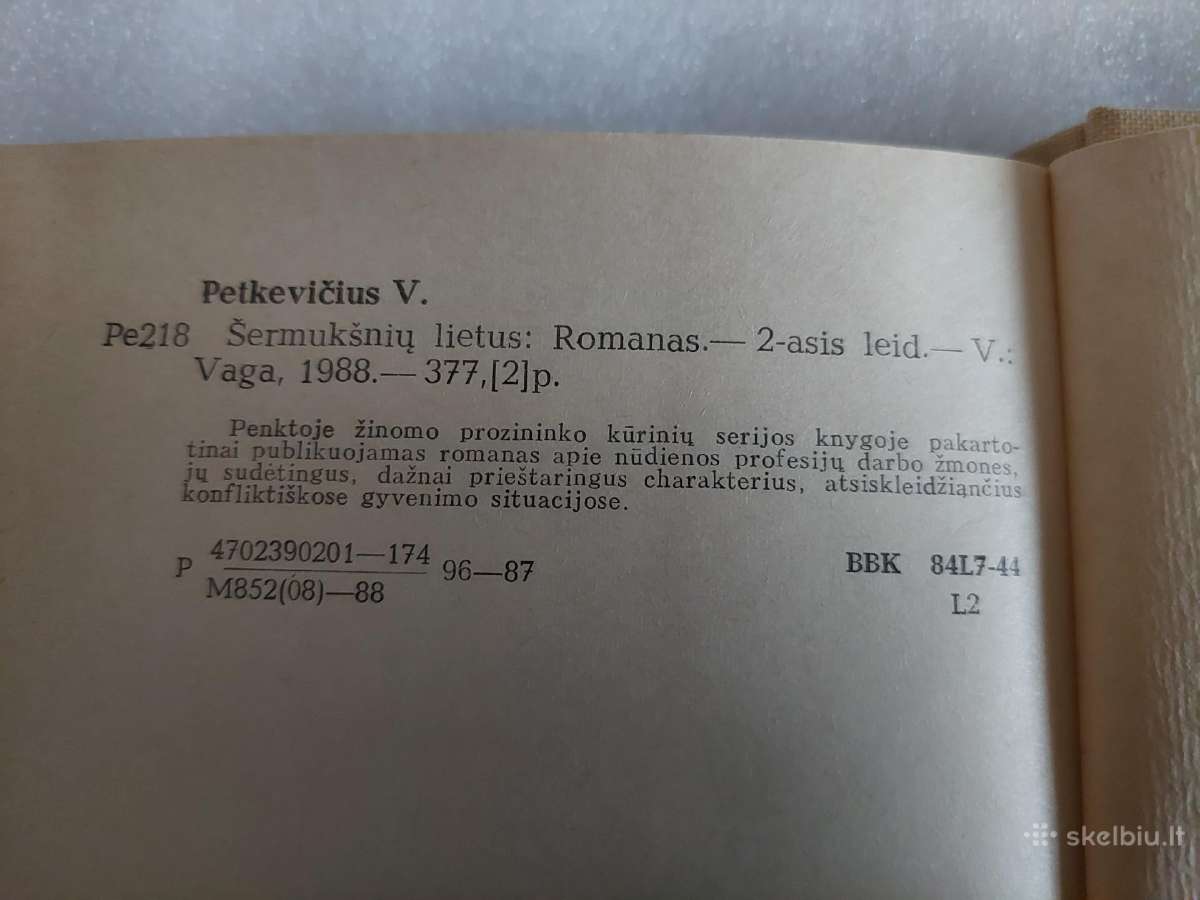 Šermukšnių lietus - nuotraukos Nr. 3