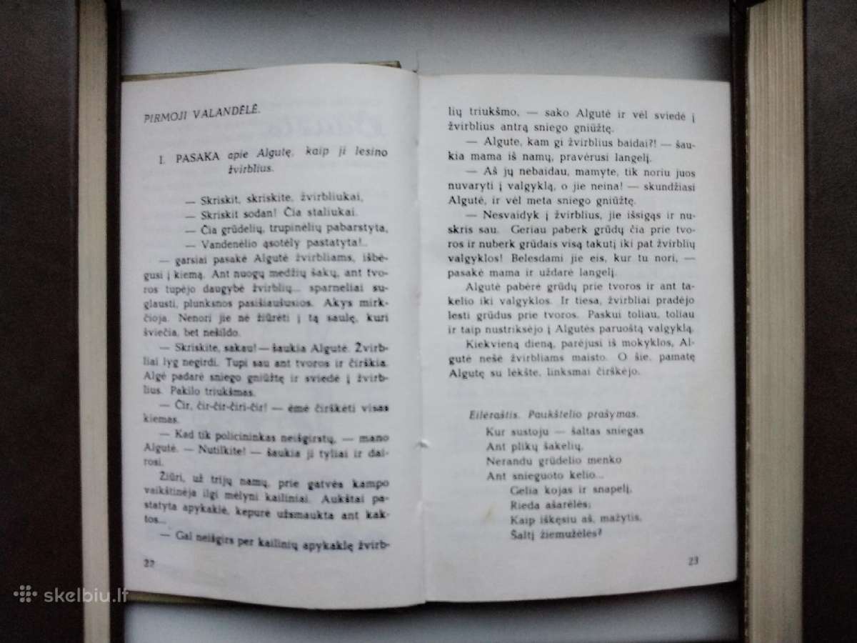 L. Čepienė. Pas motulę augau - nuotraukos Nr. 7