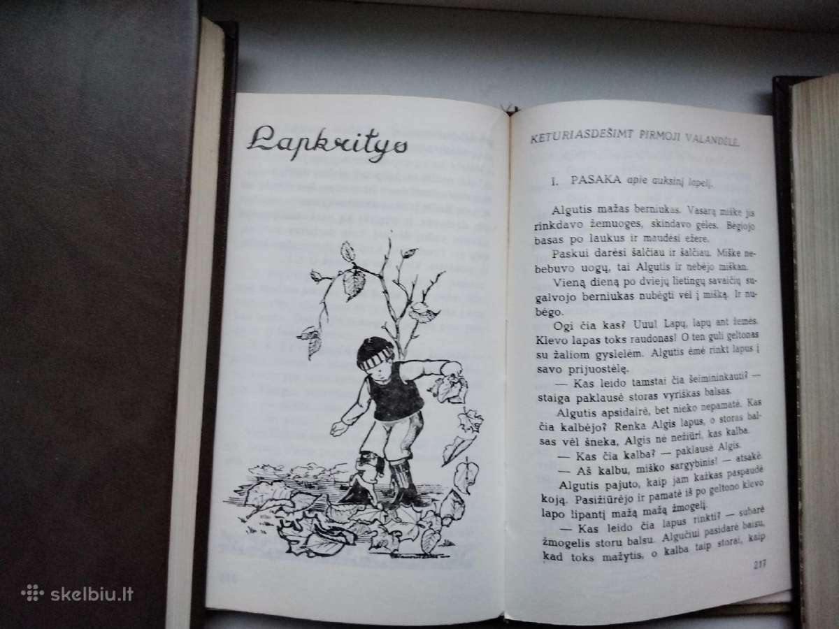 L. Čepienė. Pas motulę augau - nuotraukos Nr. 13