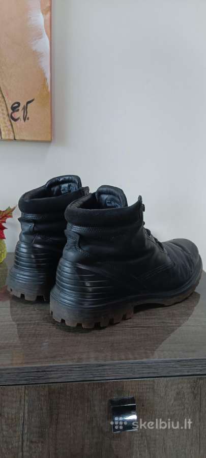 Ecco - nuotraukos Nr. 7