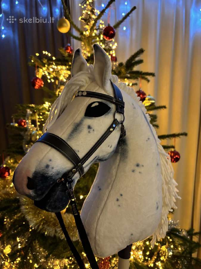 Hobby Horsing Arkliukai - nuotraukos Nr. 3