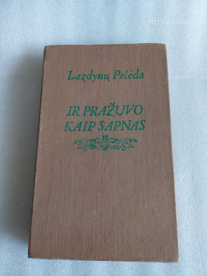 Ir pražuvo kaip sapnas
