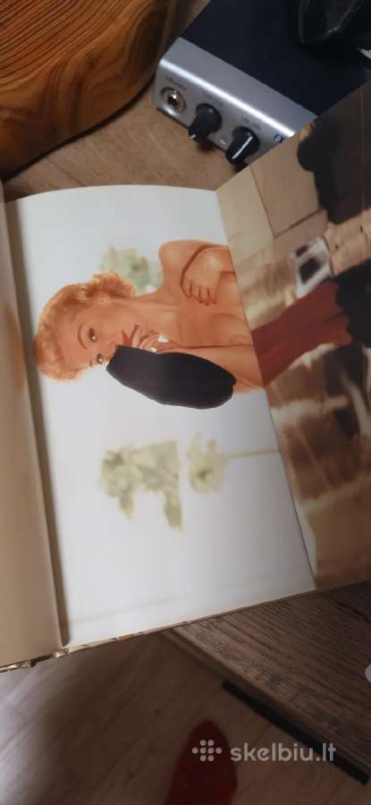 Playboy Blondines knyga