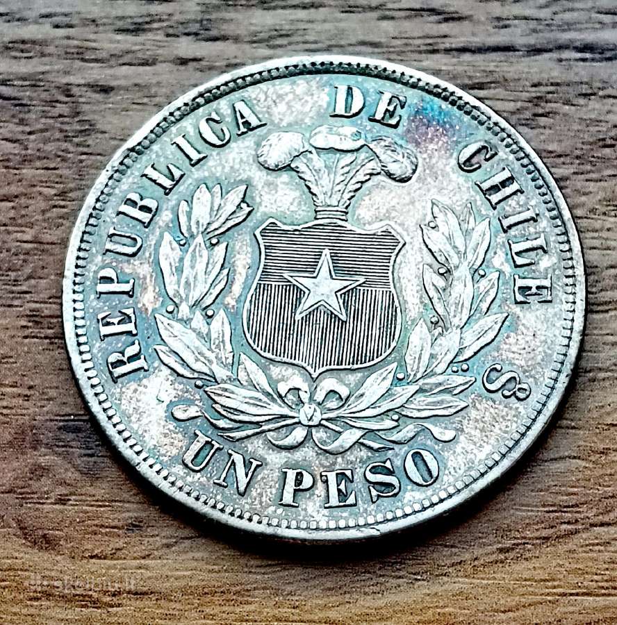 Čilės pesas 1884 m.