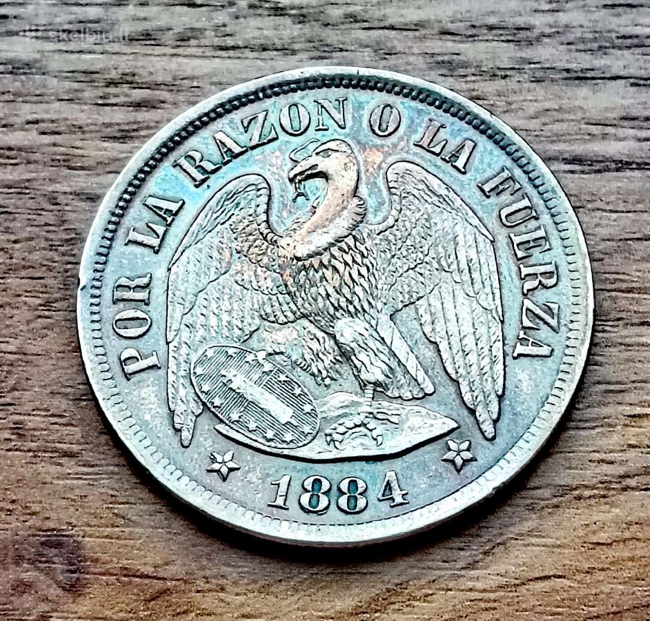 Čilės pesas 1884 m. - nuotraukos Nr. 2