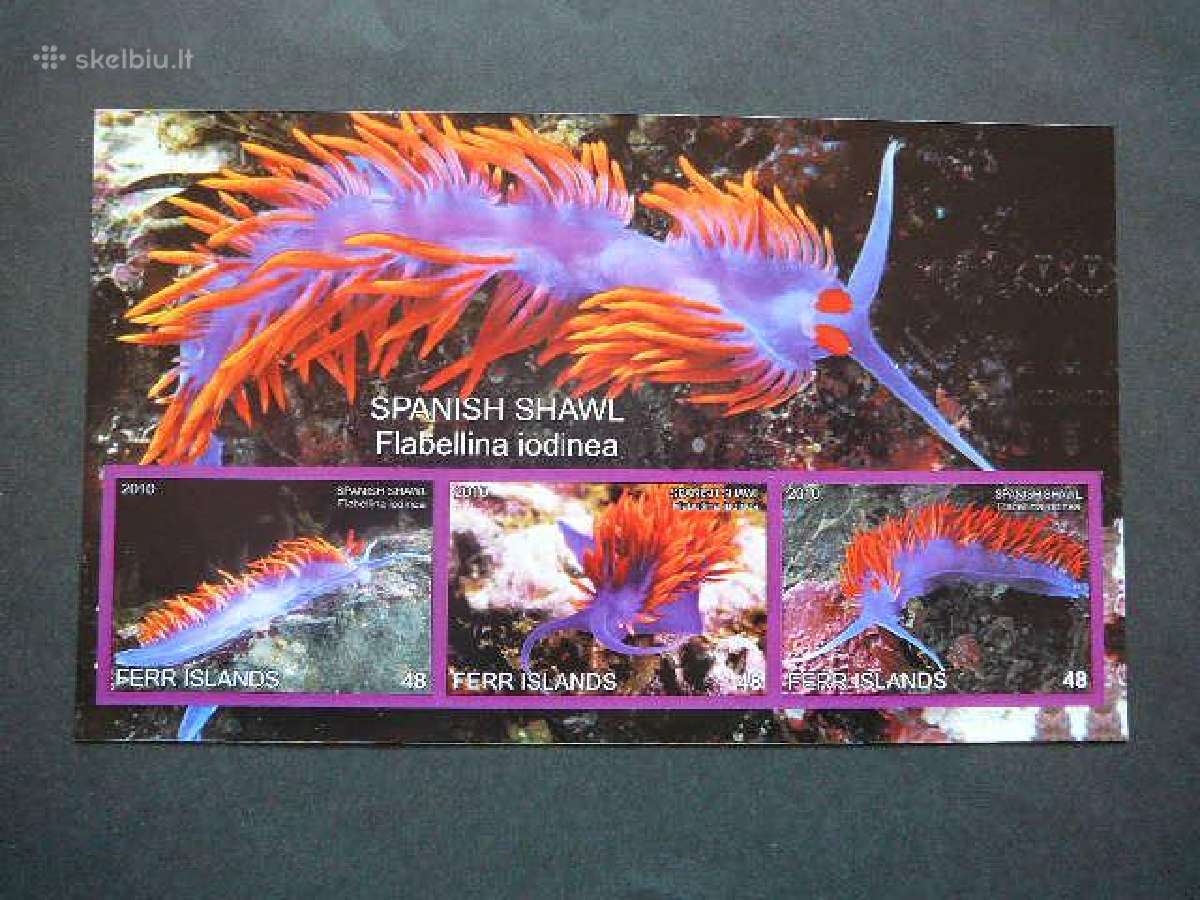 Juros fauna Moliuskai 2010 svarus ff334