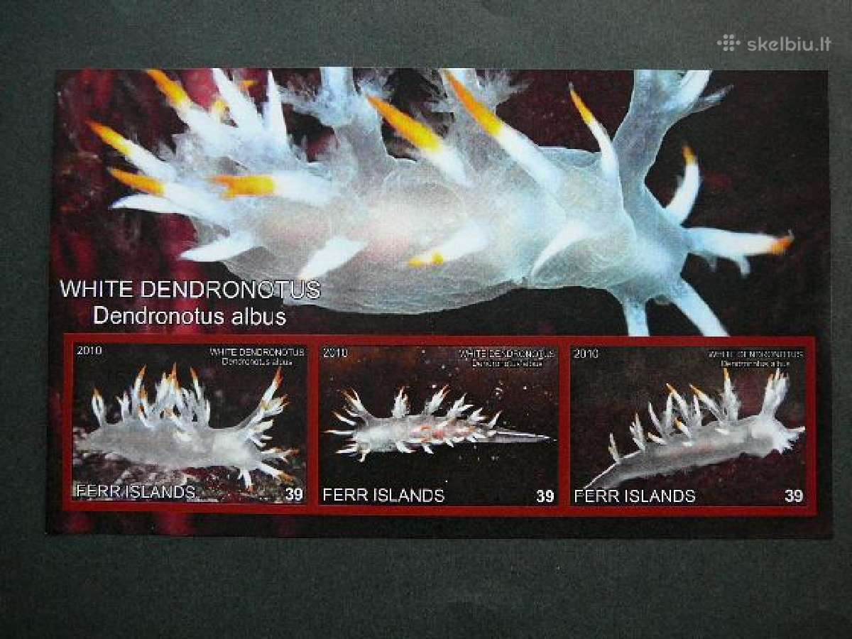 Juros fauna Moliuskai 2010 svarus ff341