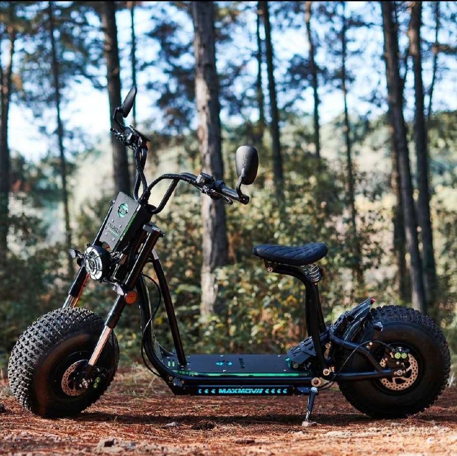 Off Road Citycoco Maxmov 3000w - nuotraukos Nr. 7