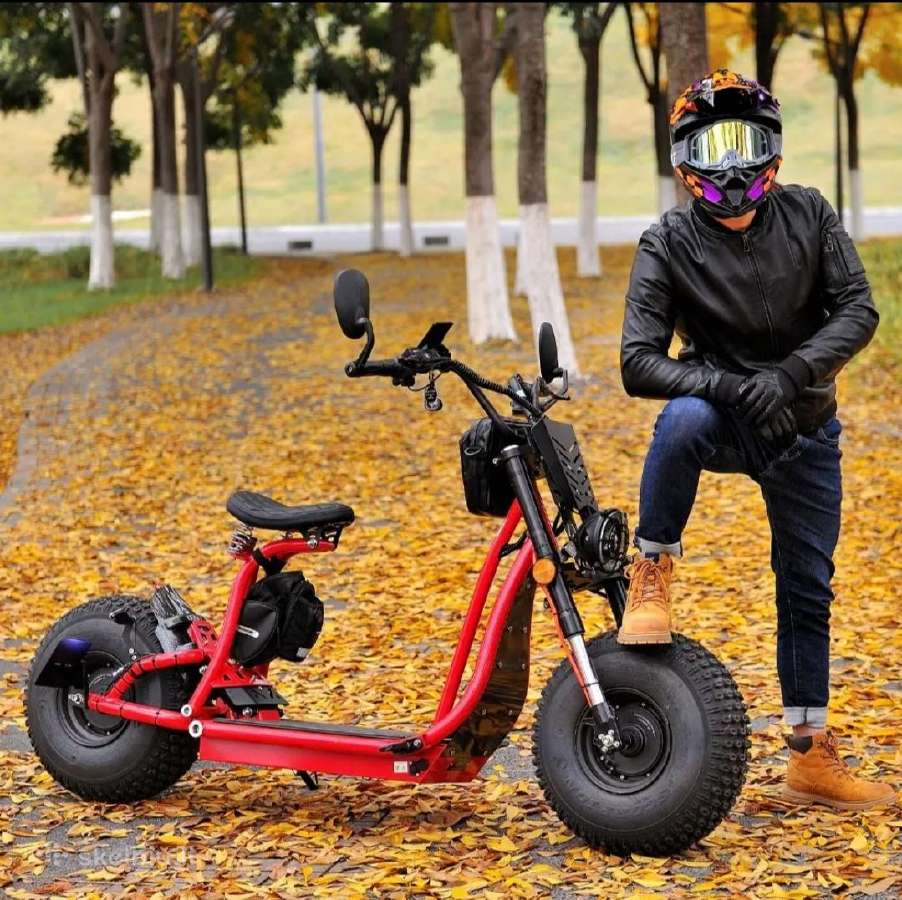 Off Road Citycoco Maxmov 3000w - nuotraukos Nr. 4