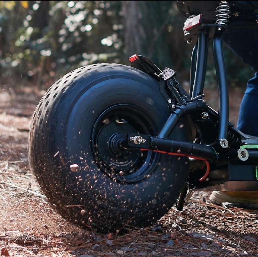 Off Road Citycoco Maxmov 3000w - nuotraukos Nr. 11