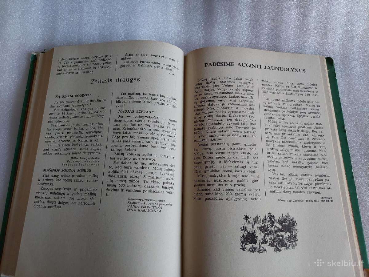 Miško laikraštis - nuotraukos Nr. 4