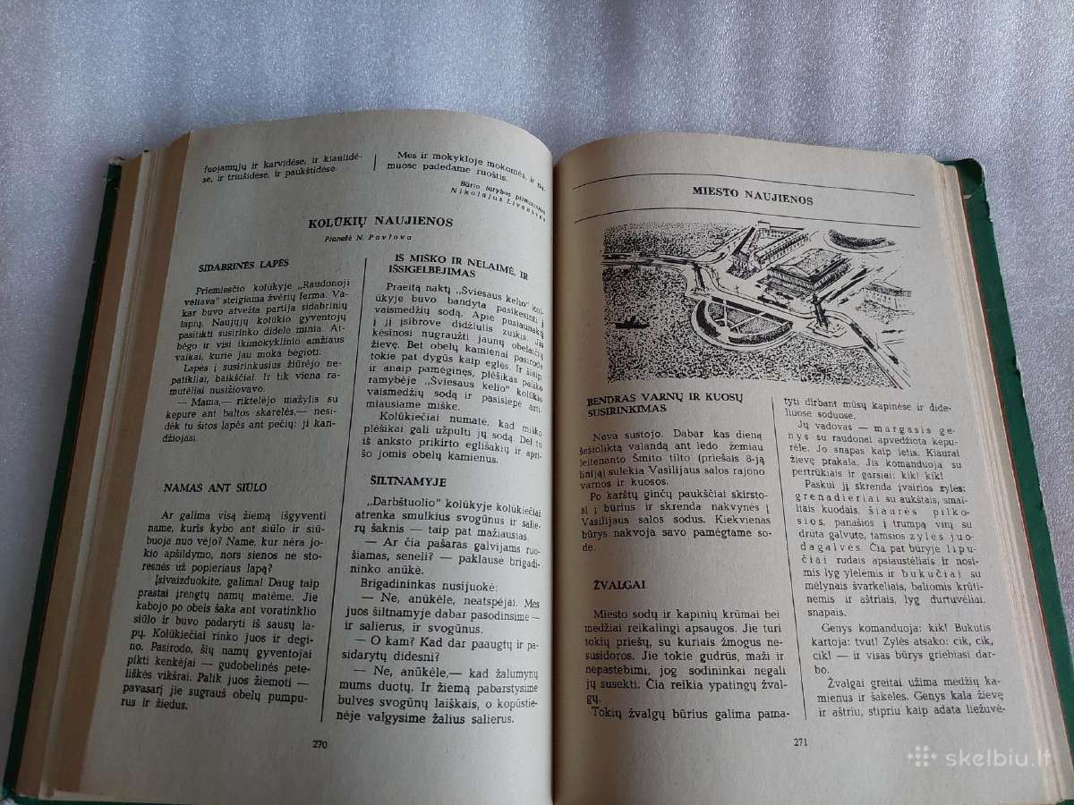 Miško laikraštis - nuotraukos Nr. 5