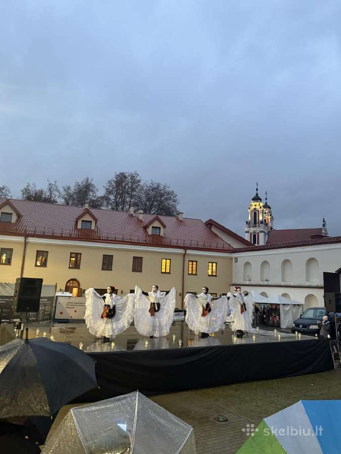 Renginių įgarsinimas, scenos pakylų nuoma - nuotraukos Nr. 4