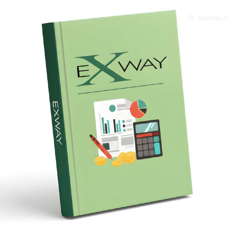 Excel programos verslui (Exway)