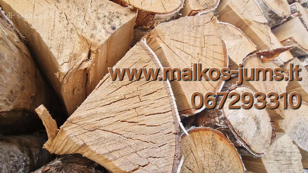 Susos malkos Vilniuje - nuotraukos Nr. 5