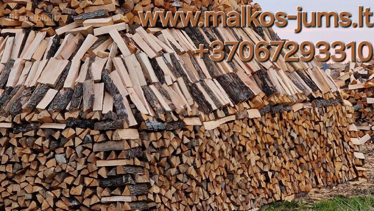 Susos malkos Vilniuje - nuotraukos Nr. 3