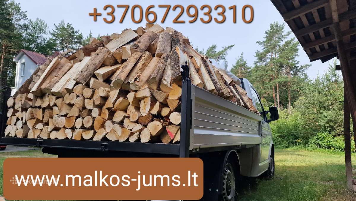Susos malkos Vilniuje - nuotraukos Nr. 2