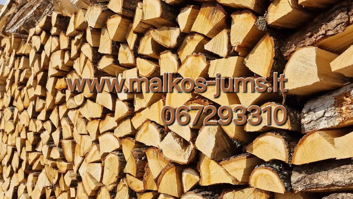 Susos malkos Vilniuje - nuotraukos Nr. 4