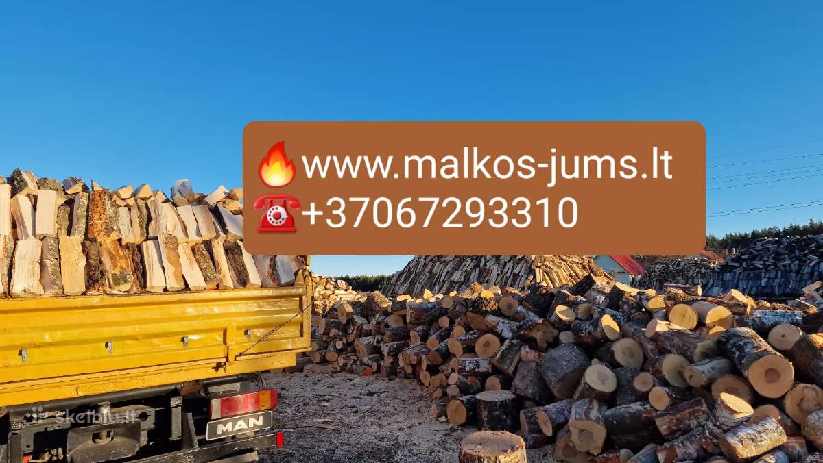 Susos malkos Vilniuje