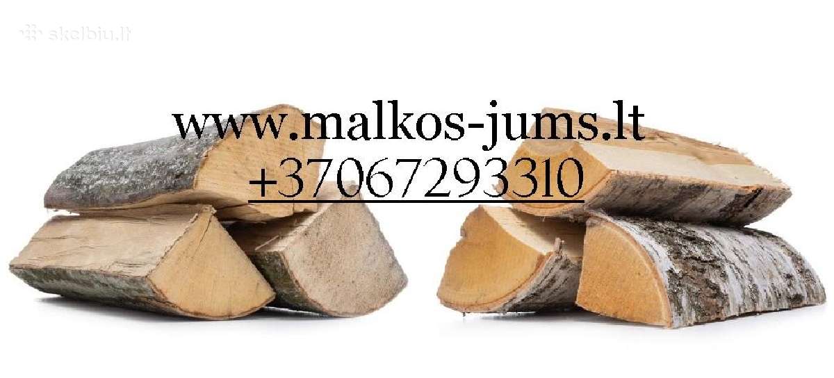 Susos malkos Vilniuje - nuotraukos Nr. 6