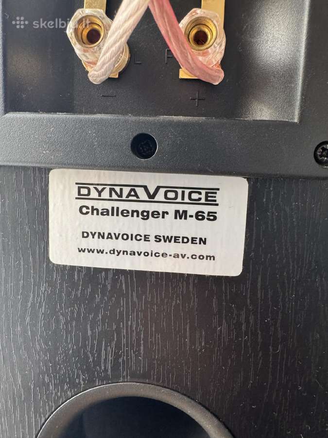 Garso koloneles Dynavoice M65 - nuotraukos Nr. 5