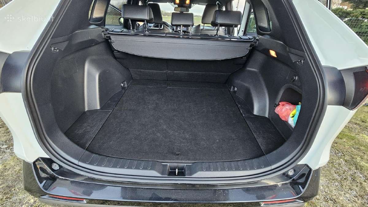 Puikios būklės Toyota Rav4 - nuotraukos Nr. 25