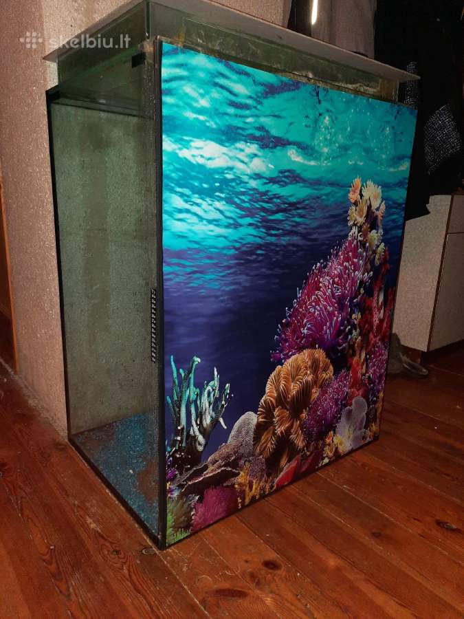 Akvariumas 333ltr. - nuotraukos Nr. 4