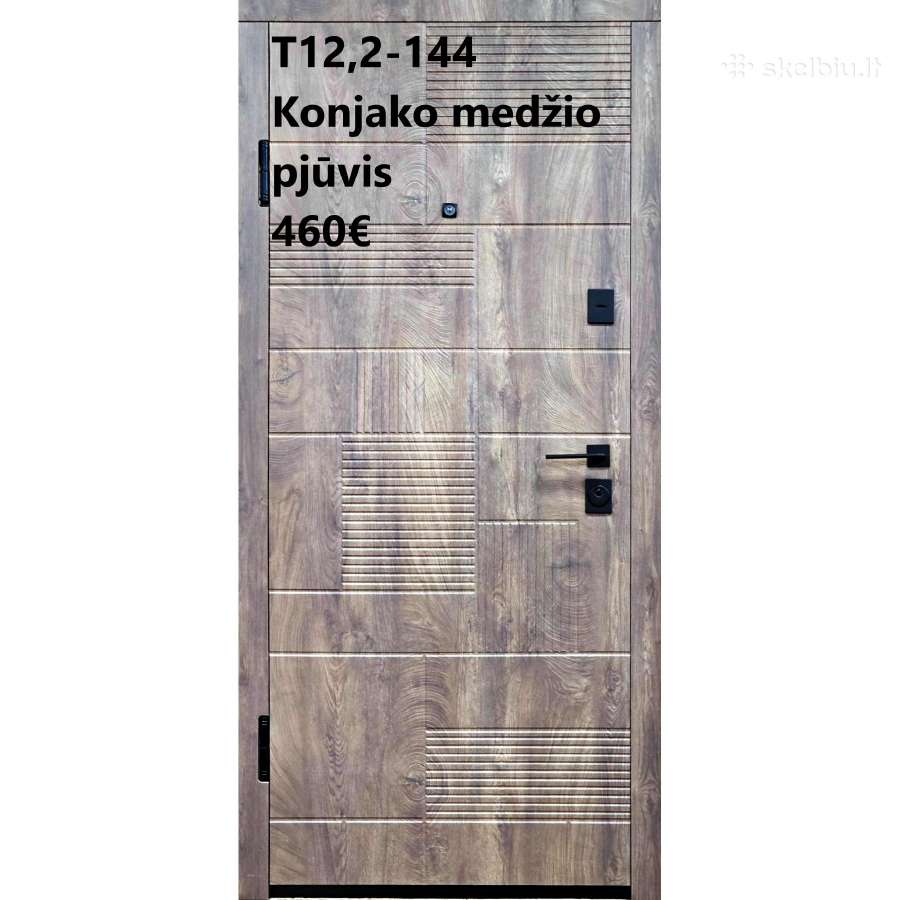 Šarvuotos lauko, buto durys - nuotraukos Nr. 10