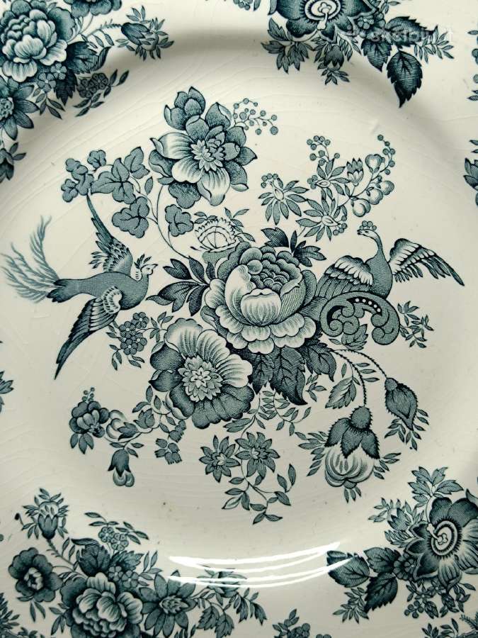 Wedgwood 6 lėkščių rinkinys "Asiatic Pheasants" - nuotraukos Nr. 5