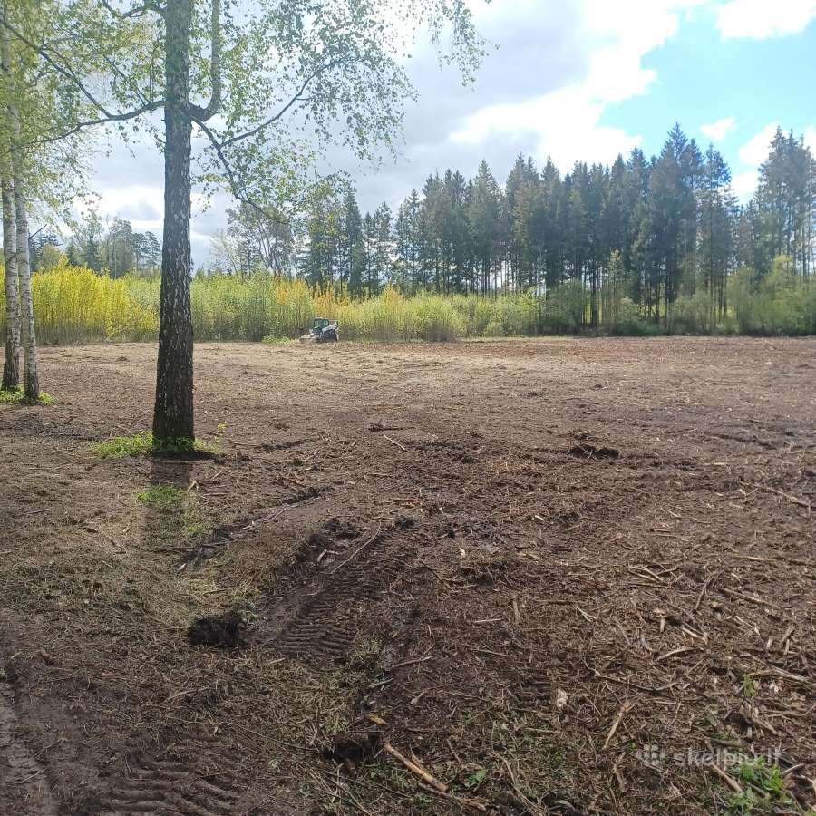 Šakų smulkinimas, sklypų, pamiškių,griovių valymas - nuotraukos Nr. 6