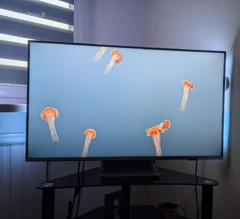 Philips televizorius