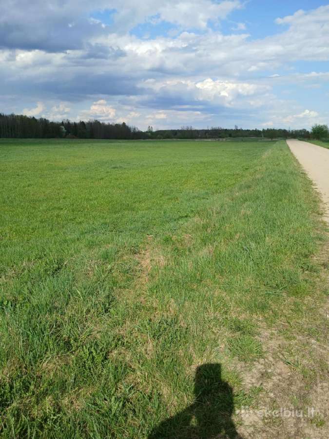 Namų valdos sklypas Rumšiškių miesteli - nuotraukos Nr. 3