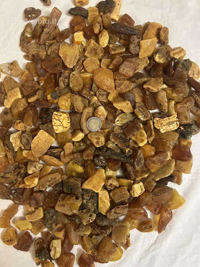 Gintaras - nuotraukos Nr. 5
