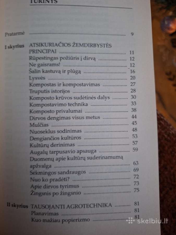 Protingo daržo margumynai. - nuotraukos Nr. 3