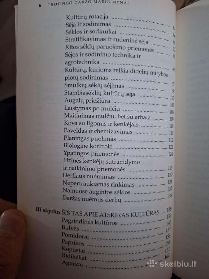 Protingo daržo margumynai. - nuotraukos Nr. 4