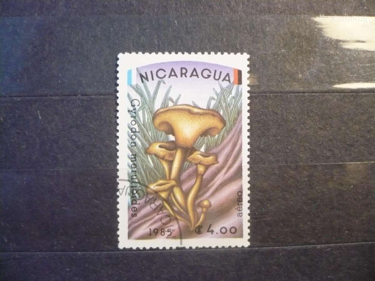1985 m. oro paštas - grybai