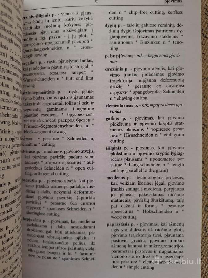 Aiškinamasis medienos terminų žodynas - nuotraukos Nr. 3