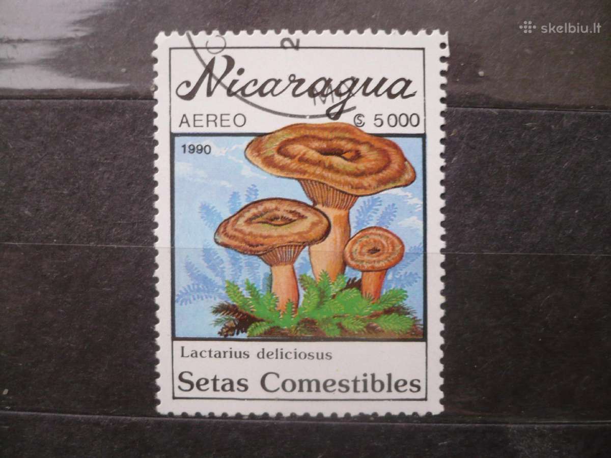 1990 m. oro paštas - grybai